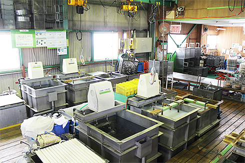 有限会社橋口商工社の特徴・こだわり